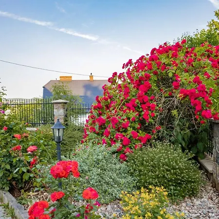 Mira - Mira Z Widokiem Na Jezioro Guest house Chmielno