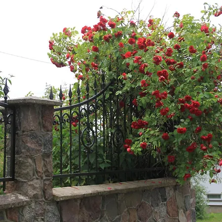 Casa de hóspedes Mira - Mira Z Widokiem Chmielno