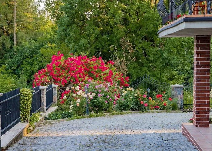 招待所 Mira - Mira Z Widokiem 3*