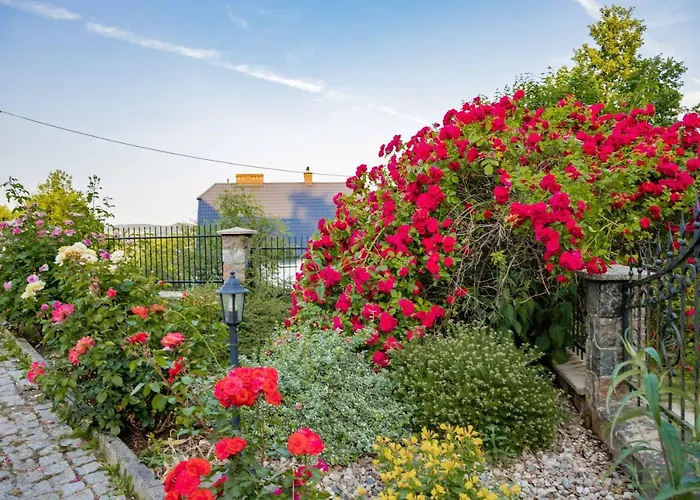 Mira - Mira Z Widokiem 招待所 切米诺