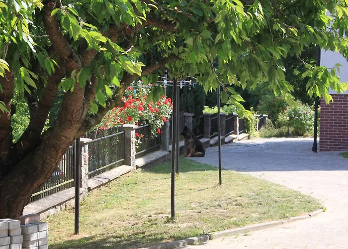 Mira - Mira Z Widokiem 招待所 切米诺