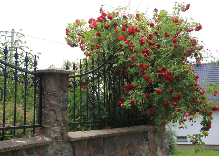 招待所 Mira - Mira Z Widokiem 切米诺