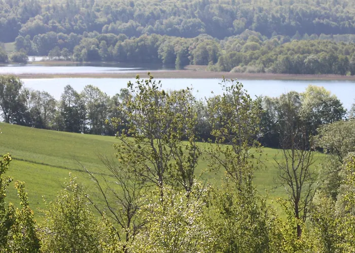 Mira - Mira Z Widokiem