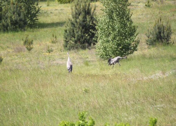 Mira - Mira Z Widokiem 招待所 切米诺